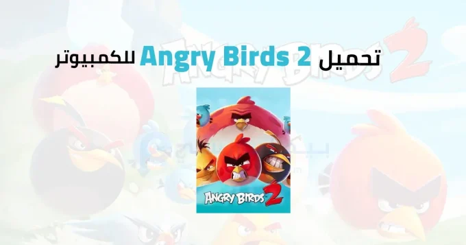 2 Angry Birds