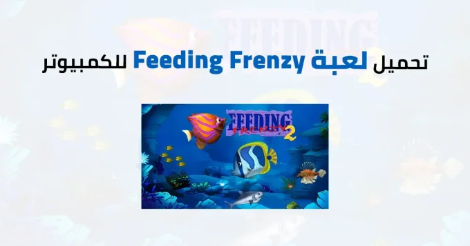 Feeding Frenzy