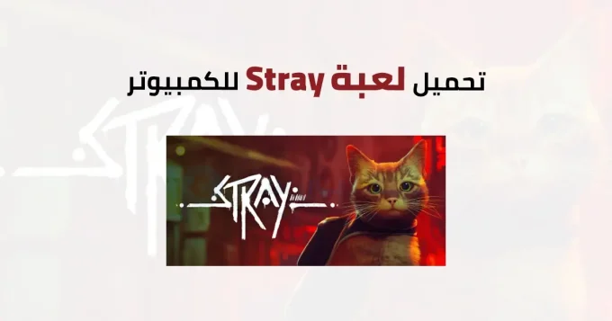 Stray